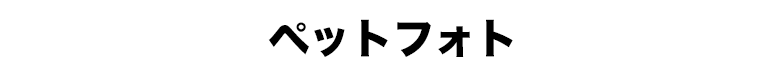 ペットフォト